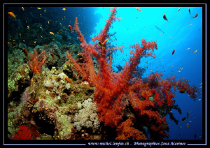 Red Sea Atmospher... Que du bonheur... :O)... by Michel Lonfat 